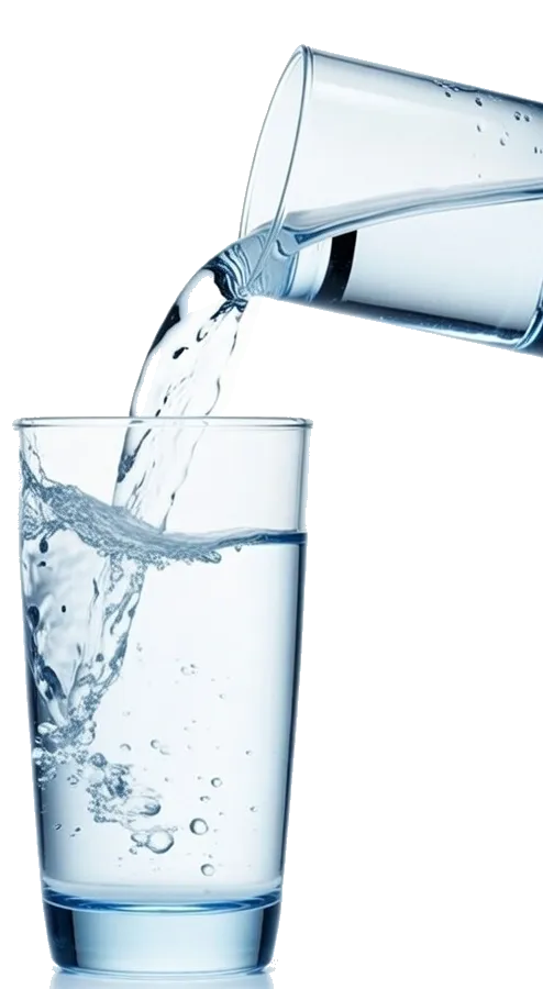 vaso 2 resultado